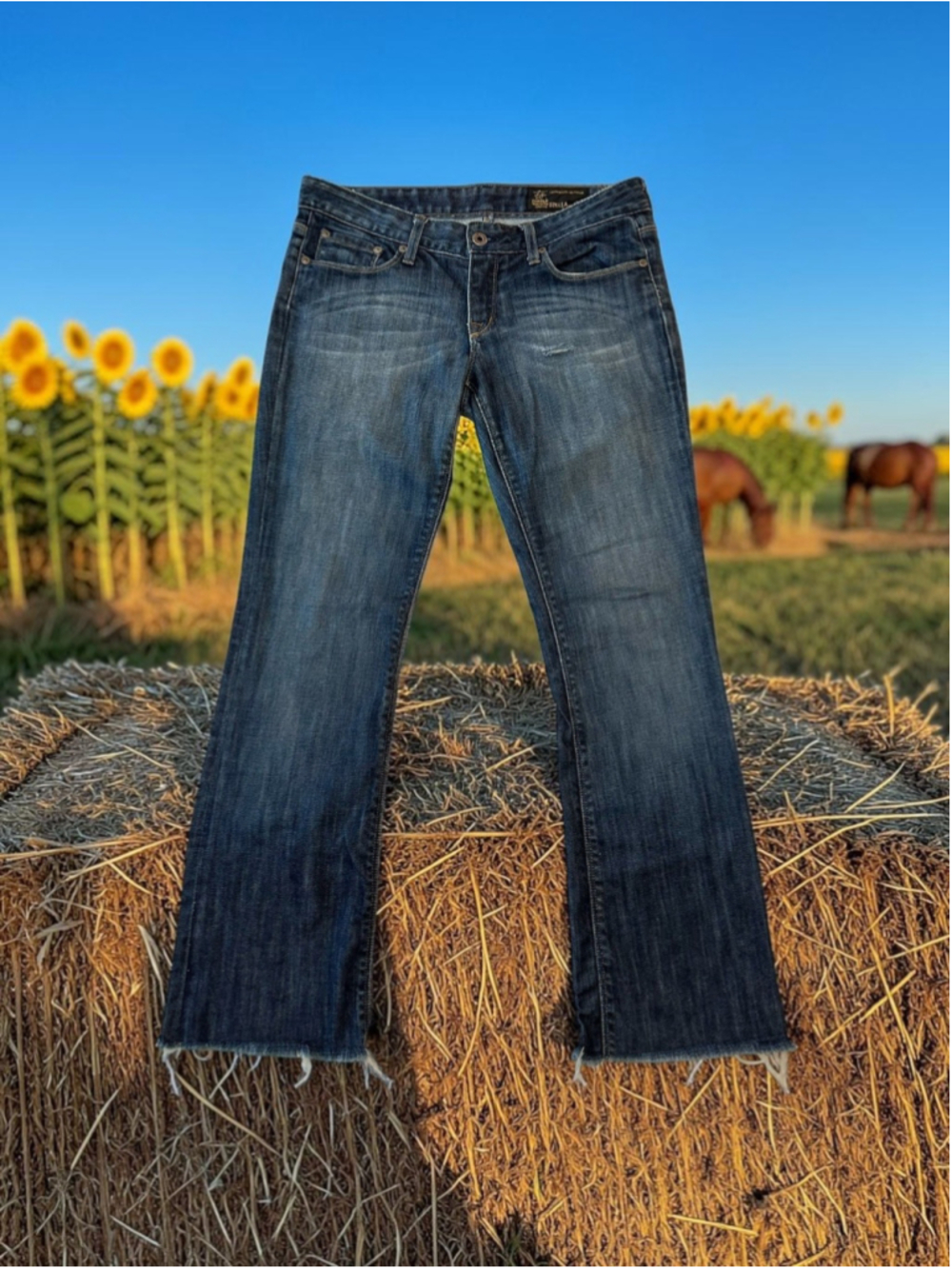 VTG Chip & Pepper STELLA Bootcut Jeans Women 29 Low Rise Distressed Raw Hem Y2K